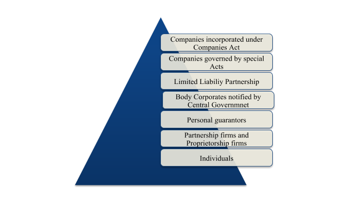 Insolvency and Bankruptcy