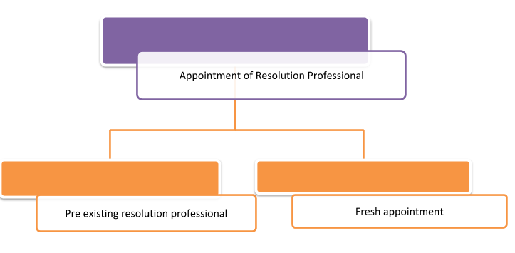 Insolvency Resolution Process for Individuals & partnership firms 