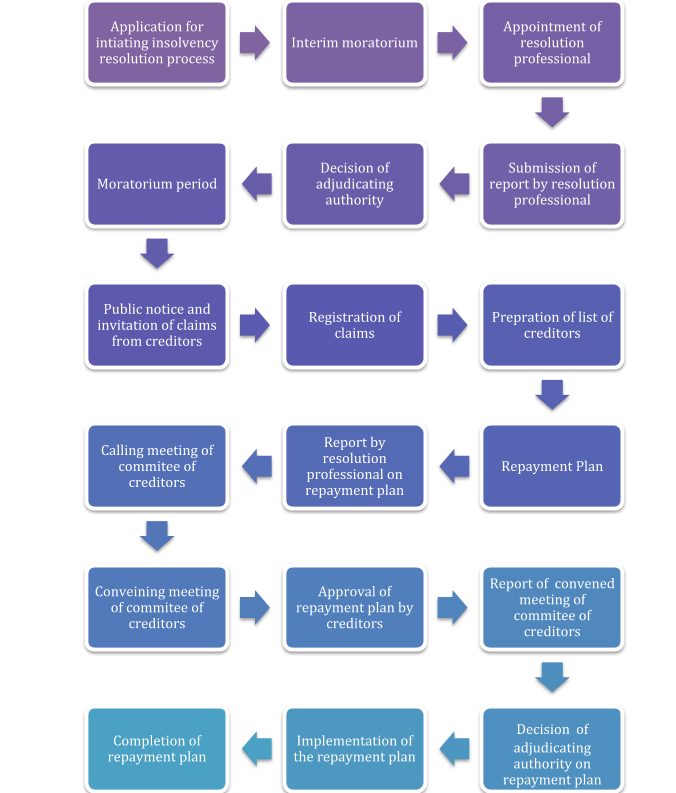 Insolvency Resolution Process 