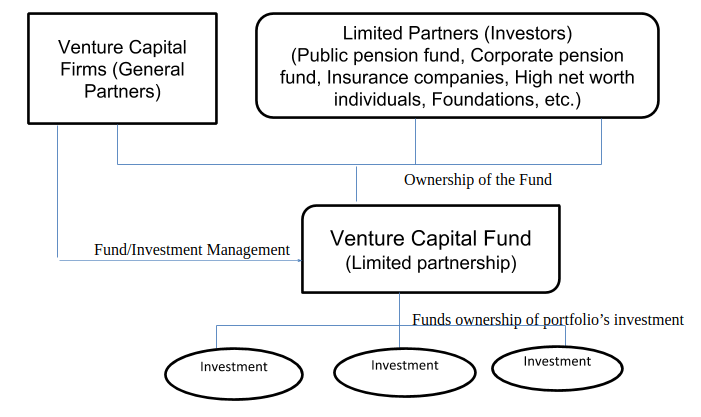 Structure of Venture Capital Fund