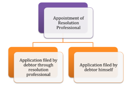 Appointment of Resolution Professional - Muds