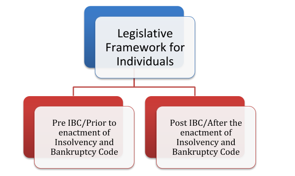 Legislative Framework for Individuals