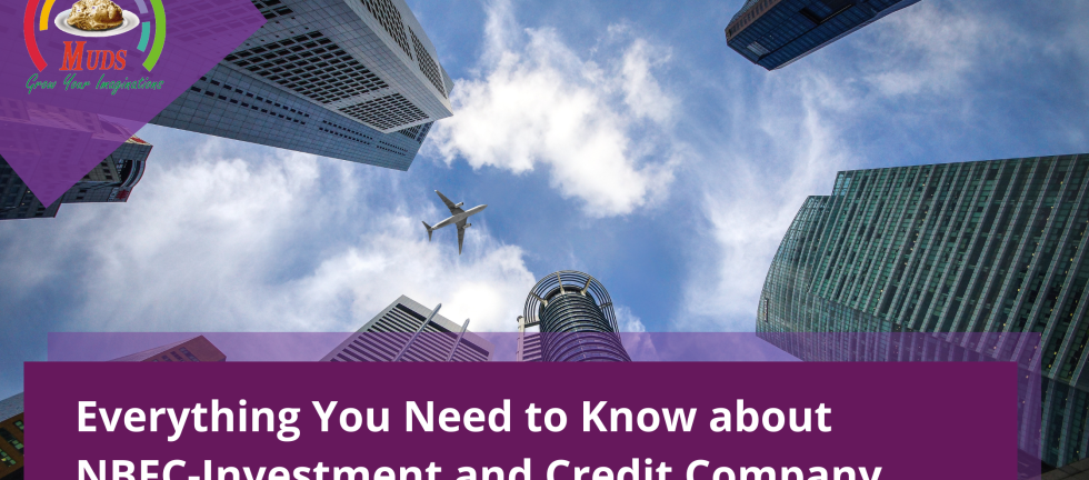 "NBFC-Investment and Credit Company”