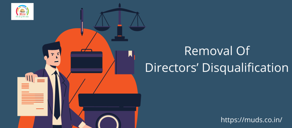 Removal Of Director Disqualification